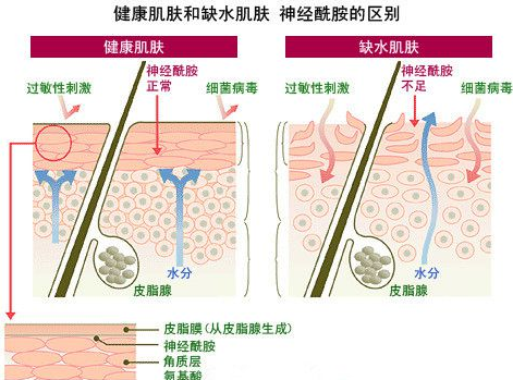 化妝品中的成分有哪些作用？
